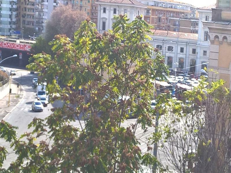 Elegance Scalini Di Trastevere Рим Екстериор снимка